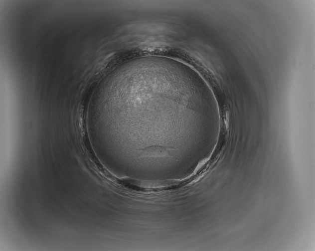 X0000114101396200910131313