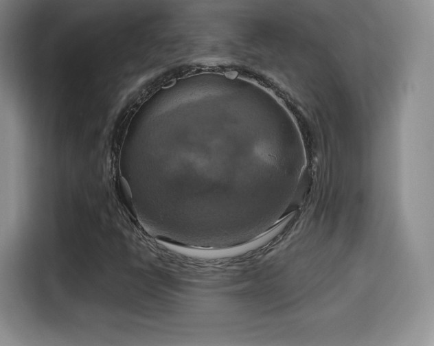 X0000114101398200910131313