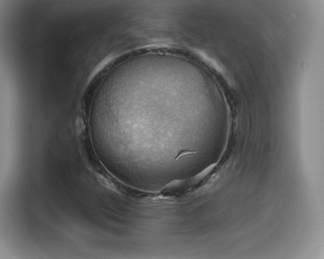 X0000114101400200910131313