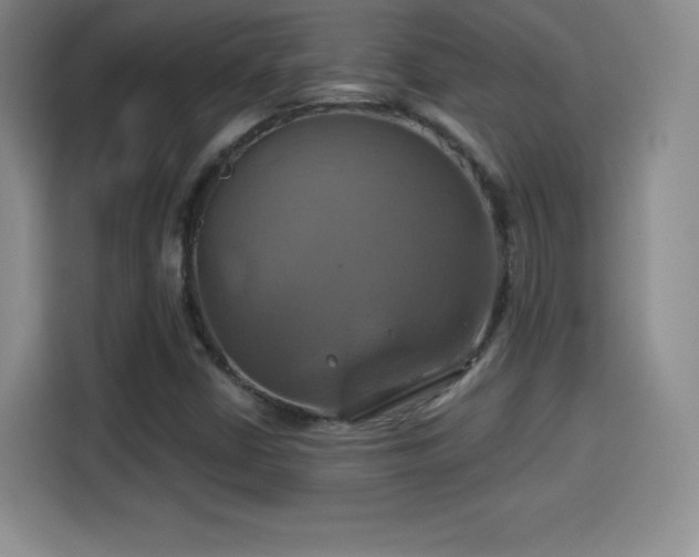 X0000114101402200910131313