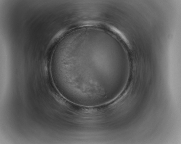 X0000114101403200910131313