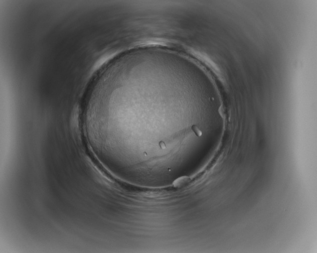 X0000114101404200910131313