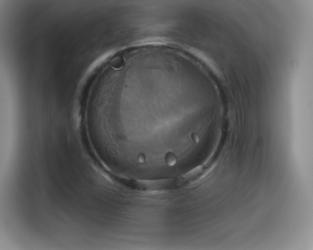 X0000114101406200910131313