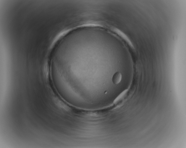 X0000114101408200910131313