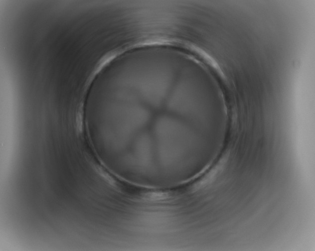 X0000114101409200910131313