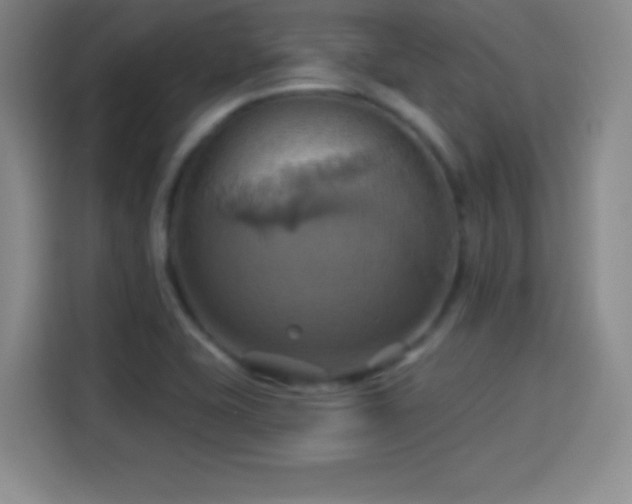 X0000114101415200910131313