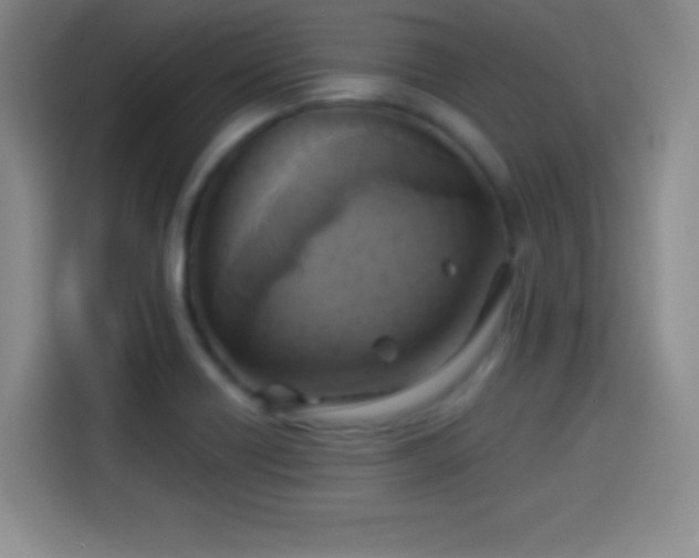 X0000114101418200910131313