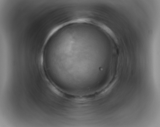 X0000114101420200910131313