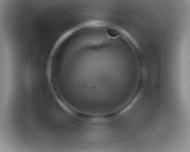 X0000114101421200910131313