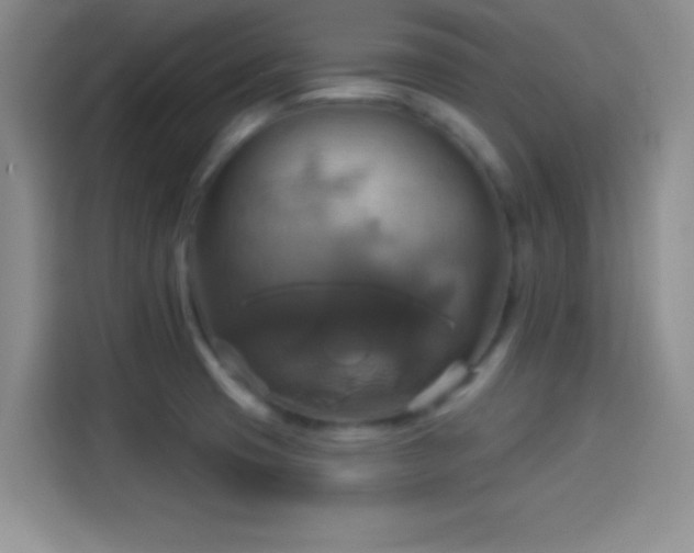 X0000114101425200910131313