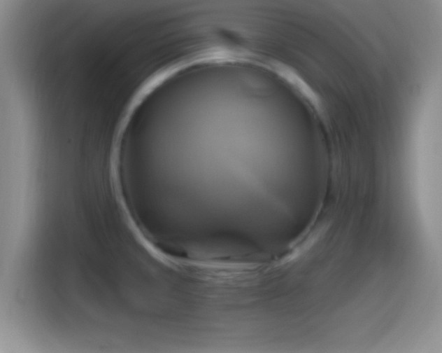 X0000114101429200910131313