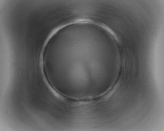 X0000114101430200910131313