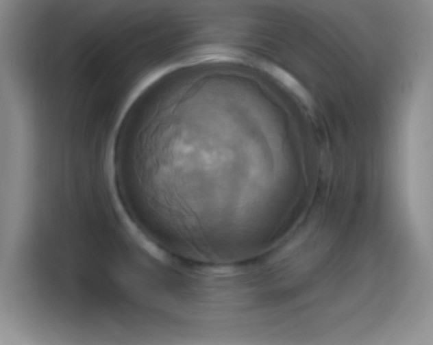 X0000114101431200910131313