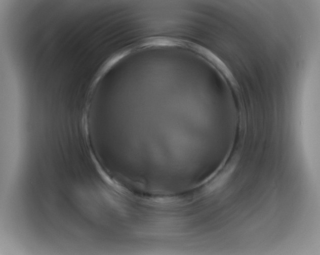 X0000114101433200910131313