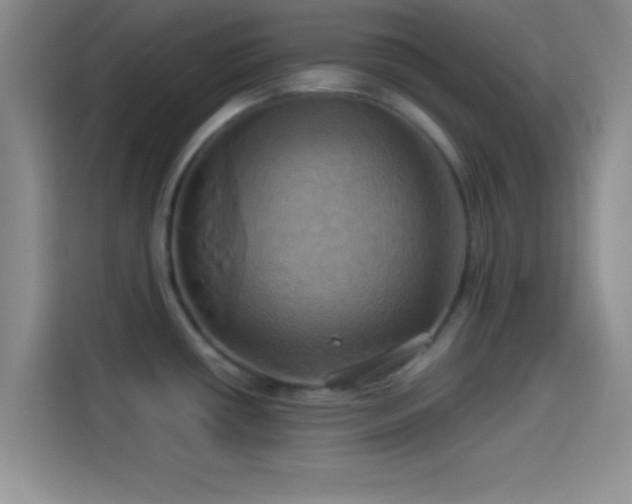 X0000114101434200910131313