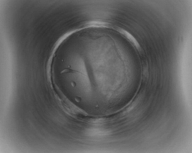 X0000114101435200910131313