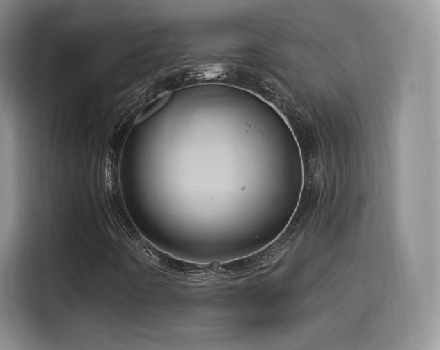 X0000114101442200910131313