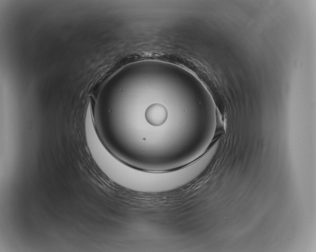 X0000114101444200910131313