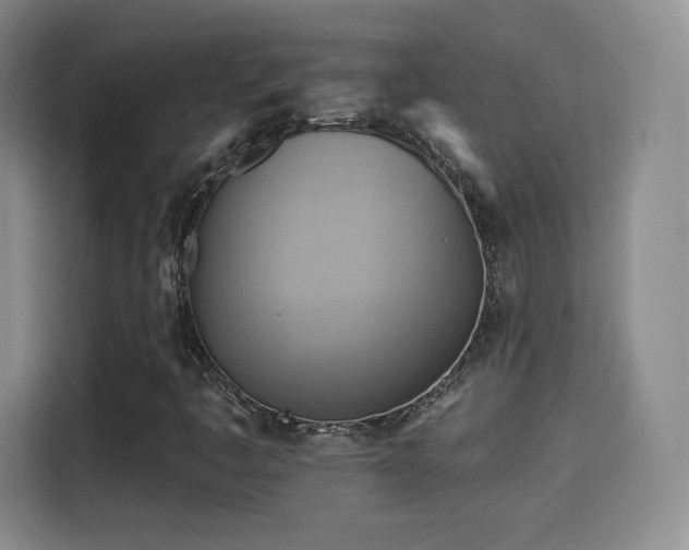 X0000114101445200910131313