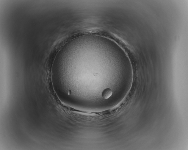 X0000114101447200910131313