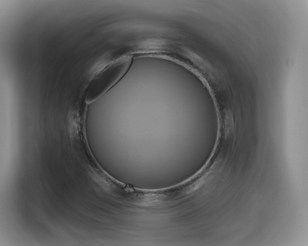 X0000114101449200910131313