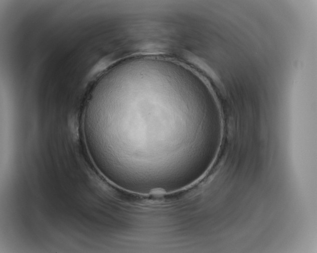 X0000114101451200910131312