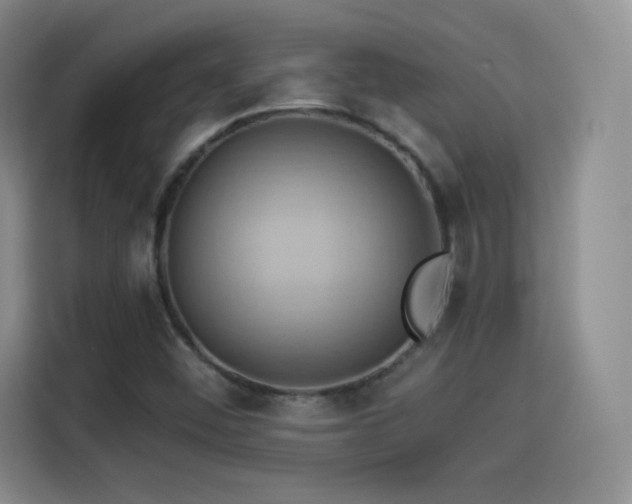 X0000114101452200910131312