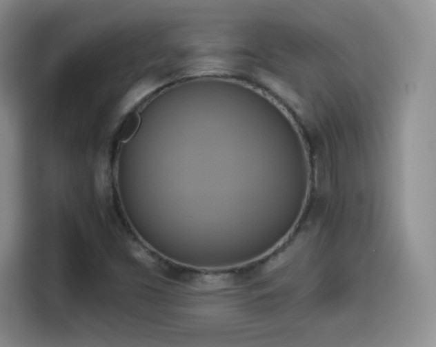 X0000114101453200910131312