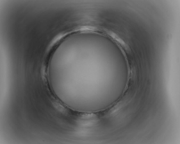 X0000114101454200910131312