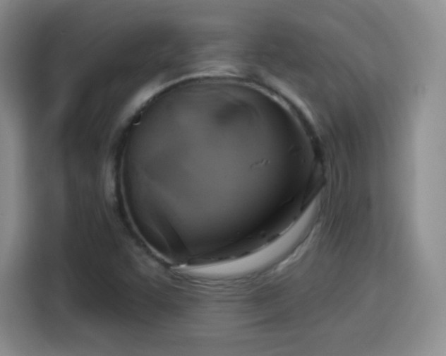 X0000114101455200910131312