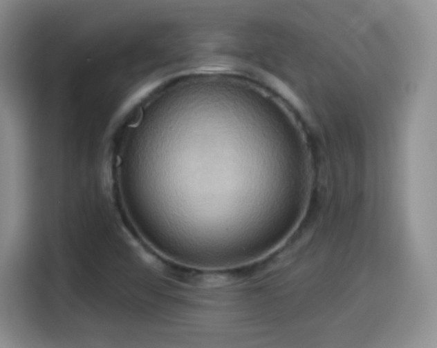 X0000114101456200910131312