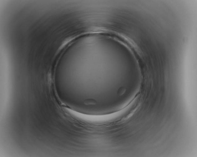 X0000114101457200910131312