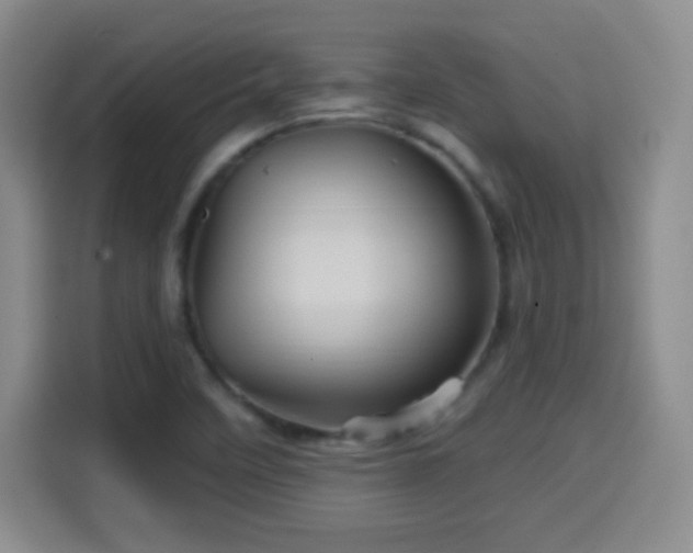 X0000114101458200910131312