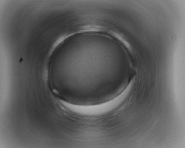 X0000114101459200910131312