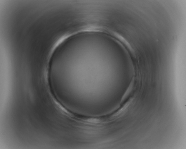 X0000114101463200910131312