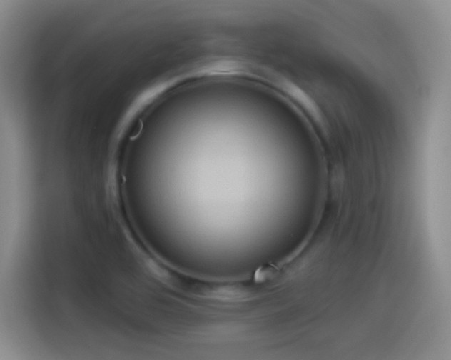 X0000114101464200910131312