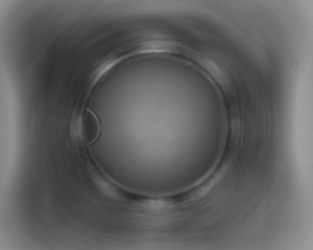 X0000114101465200910131312