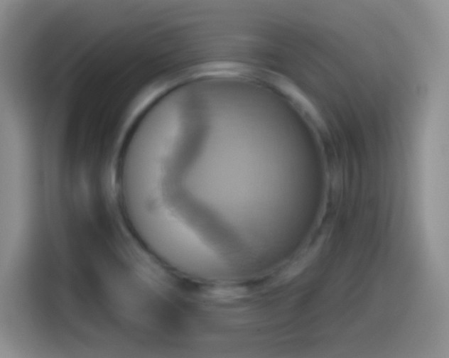 X0000114101466200910131312