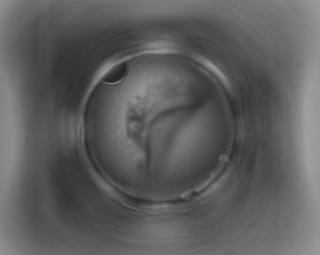 X0000114101467200910131312