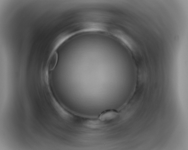 X0000114101468200910131312