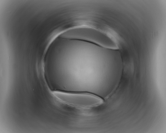 X0000114101476200910131312