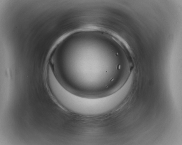 X0000114101477200910131312