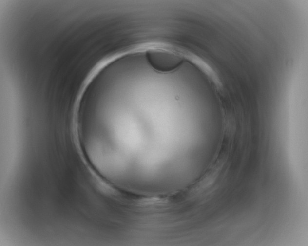 X0000114101478200910131312