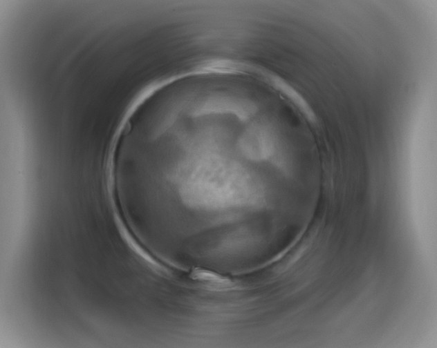 X0000114101479200910131312