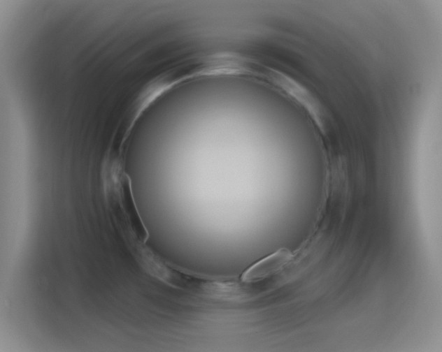 X0000114101481200910131312