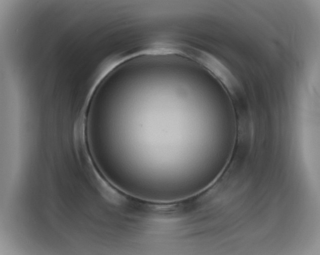 X0000114101484200910131312