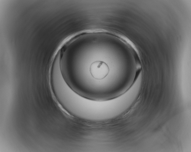 X0000114101485200910131312