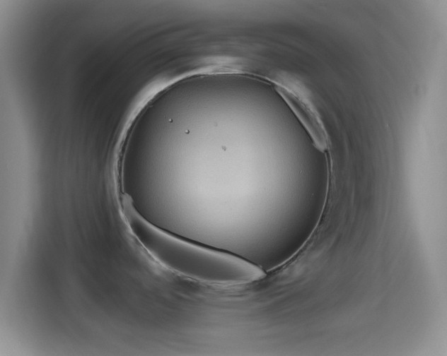 X0000114101488200910131312