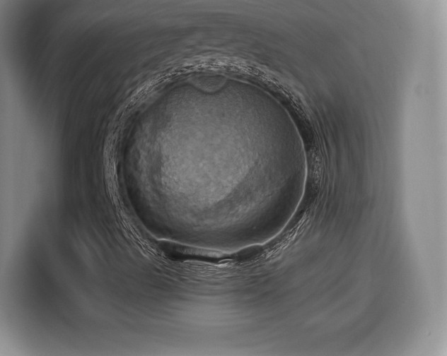 X0000114101489200910131311