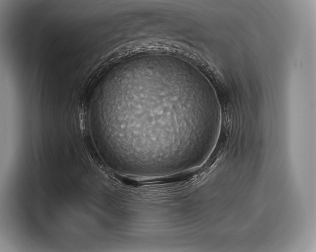 X0000114101490200910131311